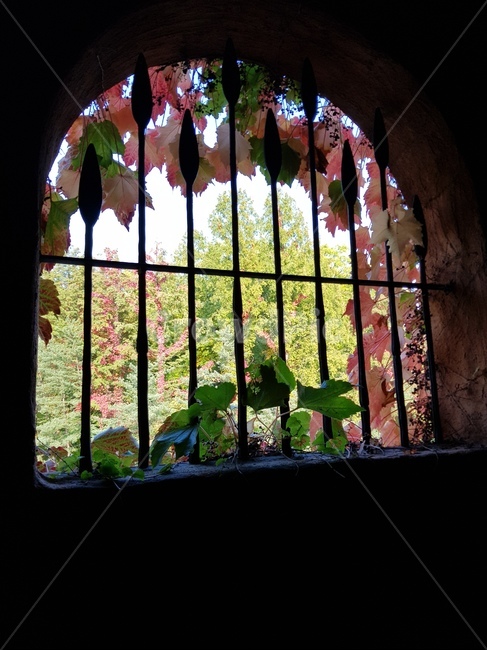 창살창문,창문,window,중세시대느낌,barsinthewindow