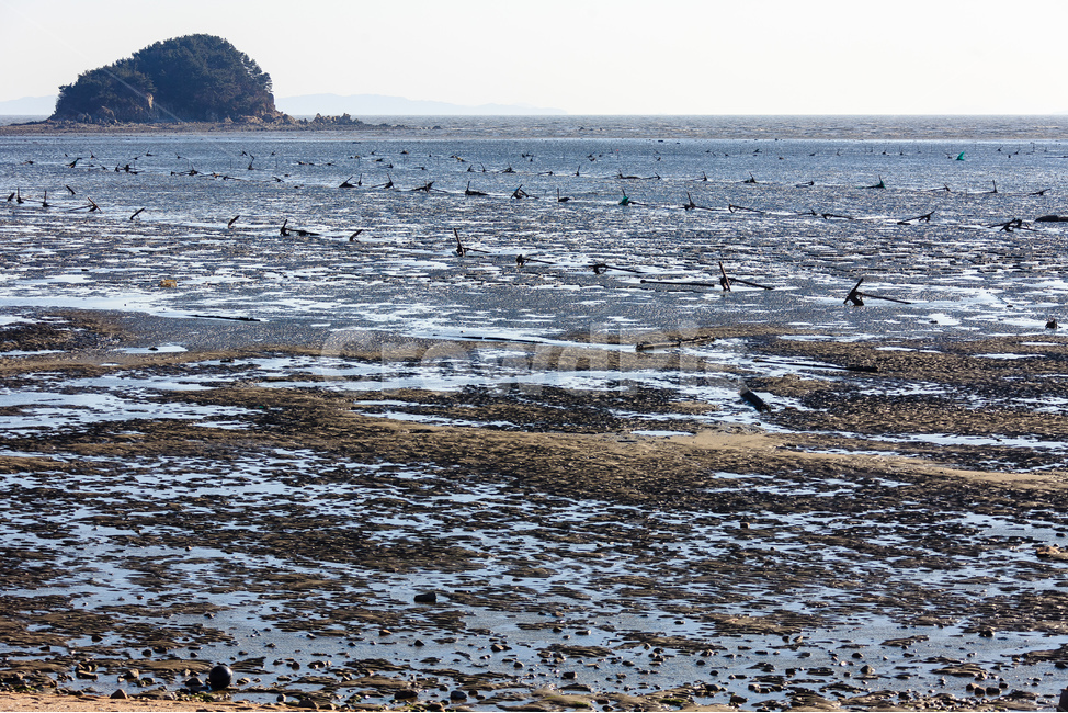 바다,대양,바닷가,파도,서해,자연,풍경,nature,landscape,land,땅,outdoors,옥외,promontory,곶,water,물