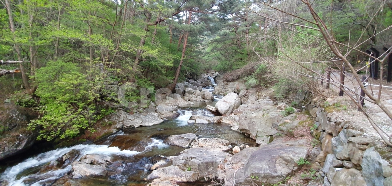 계곡,칠연계곡,1급수,대자연,덕유산