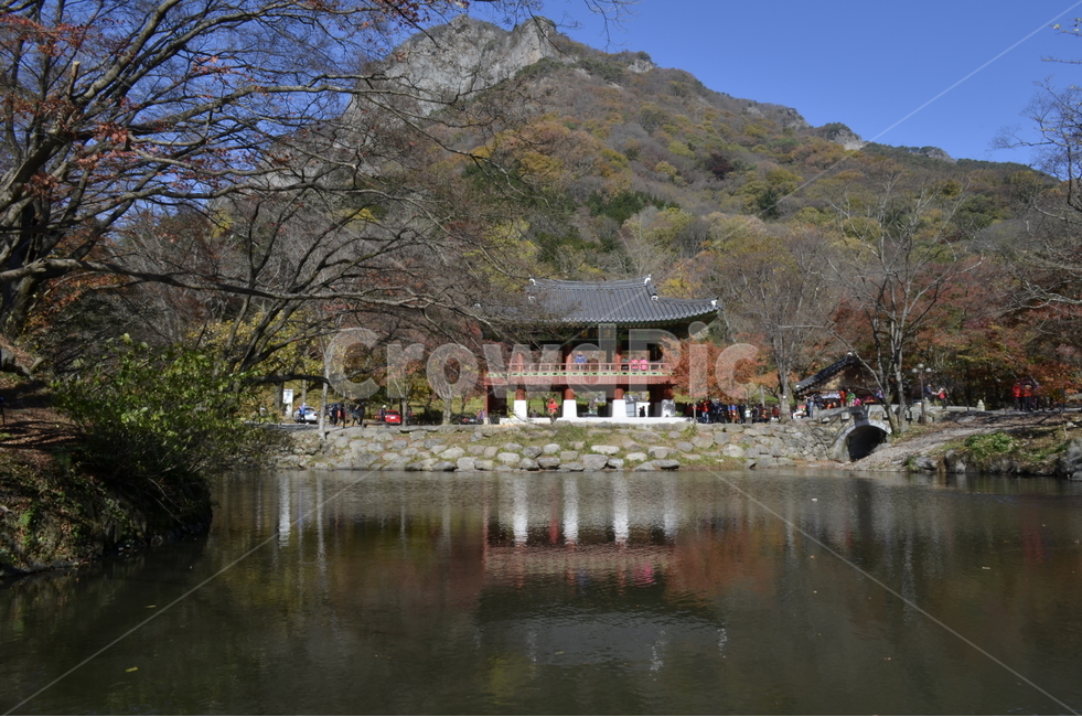 백양사,가을,느낌,풍경,사찰,절,감성,역사,자연,풍경,nature,landscape,한국자연풍경,한국자연경관,korea nature landscape,한국전통,한국문화,korean traditional,korean culture,랜드마크,landmark,tourist attraction,한국랜드마크,한국관광지,한국명소,korea landmark,korea tourist attraction,building,건물,architecture,건축물,temple,신전,worship,예배