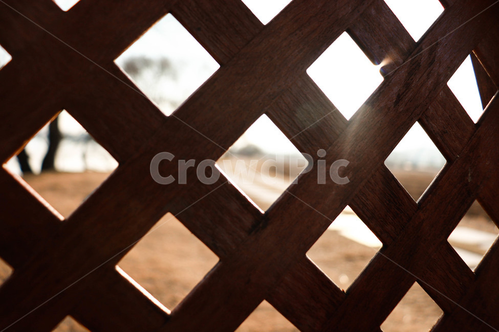 패턴,나무,풀,빛,견목,cross,symbol,상징