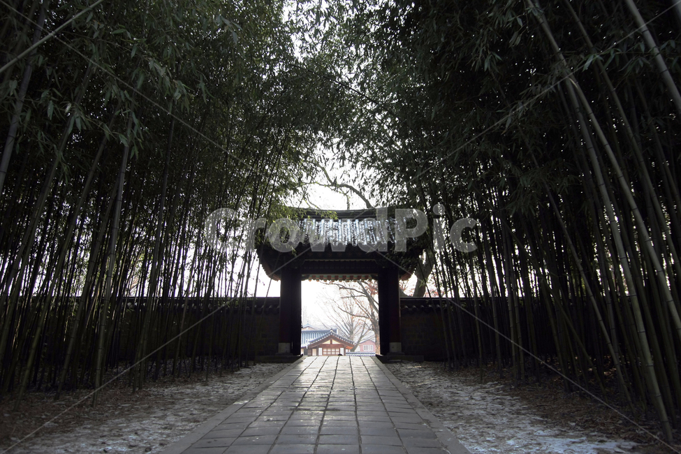전주,한옥,한옥마을,풍경,전통,한국,한국전통,한국문화,korean traditional,korean culture,랜드마크,landmark,tourist attraction,한국랜드마크,한국관광지,한국명소,korea landmark,korea tourist attraction