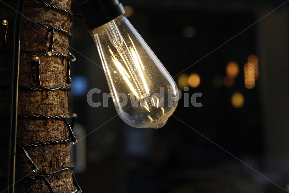 light,빛,전구,전등,불빛,전등빛
