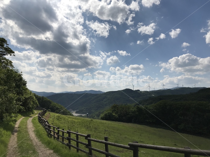 목장,감성,푸른초원,구름,초원,울타리,갬성,풍력발전기,자연,풍경,nature,landscape,outdoors,옥외