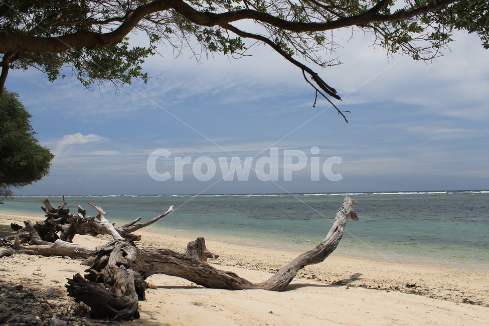 인도네시아,길리,해변,indonesia,gili,beach,나무해변,beachandtrees,vacation,고즈넉