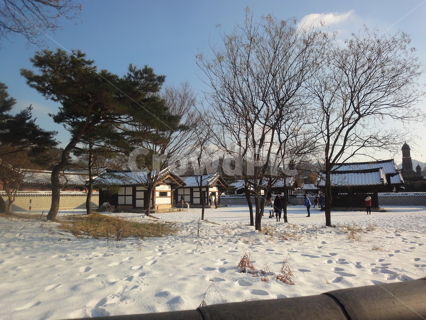 겨울,한옥,눈,전통,기와,winter,snow,koreansytlehouse,oldhouse,oriental,house,tileroofedhouse,겨울,계절,winter,season,한국전통,한국문화,korean traditional,korean culture