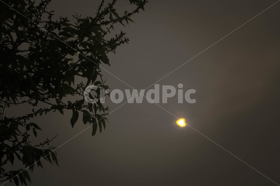 하늘,해,하트,사랑,love,sky,sun,heart,풍경,landscape,자연,풍경,nature,landscape,야경,밤,nightscape,night,outdoors,옥외
