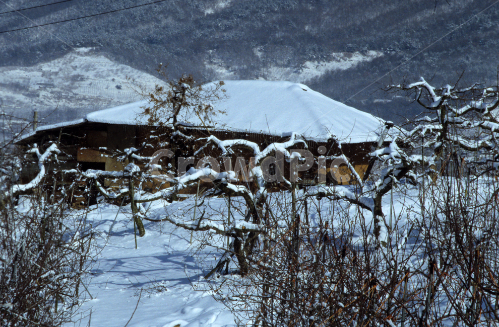 과수원,집,풍경,겨울,계절,fruitfar,house,scenery,winter,season,nature,겨울,계절,winter,season,시골,마을,풍경,landscape,country,rural,town