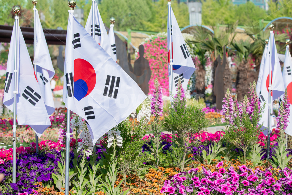 태극기,국기,대한민국,깃발,현충일,게양,한국,우리나라,공원,야외,많은,꽃,나무,식물,오브젝트,자연,taegeukgi,koreanflag,flag,korea,park,object,plants,nature