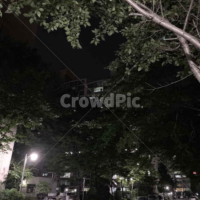 night,nightview,밤,밤풍경,거리,가로등