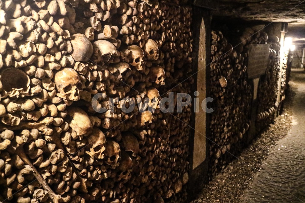 해골,카타콤,유적,지하묘지,유적지,묘지,skull,스컬,catacombs,파리,paris,공포,호러,무서운,무서움,horror,terror,fear