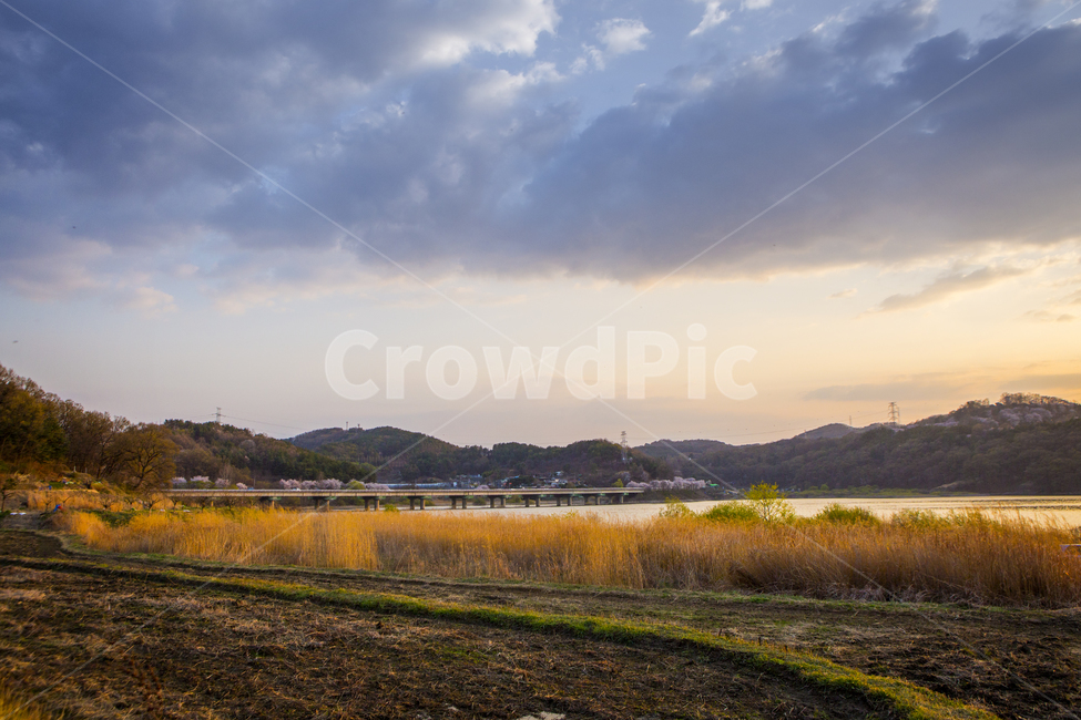 outdoors,nature,자연,풍경,시골,갈대,구름,다리,저수지,대청호,옥천,가을,계절,fall,autumn,season,자연,풍경,nature,landscape,dirt road,흙길,road,도로,gravel,자갈