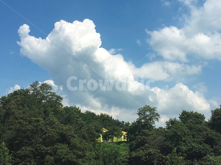 강아지구름,여름,자연,구름,하늘,cloud,자연,풍경,nature,landscape,weather,날씨,outdoors,옥외,cumulus,적운,sky,azure sky,푸른 하늘
