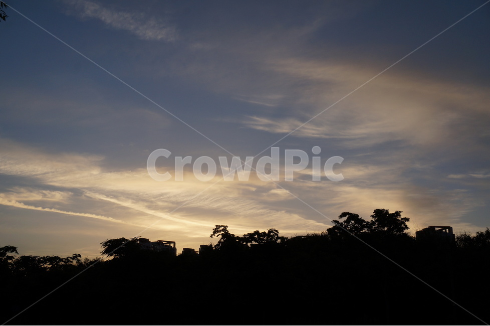 일출,아침,해,빛,맑음,구름,자연,풍경,nature,landscape,실루엣,그림자,silhouette,shadow,outdoors,옥외