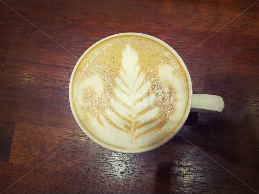 라떼,라떼아트,아트,커피,caffe,latte,로제타