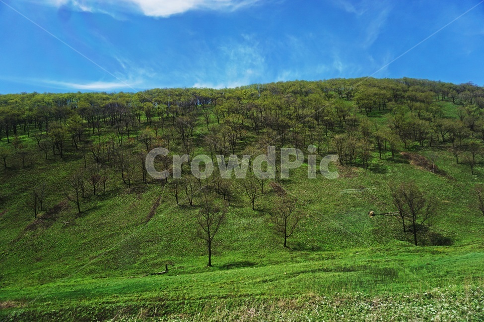 언덕,자연,목초지,grassland,nature,풍경