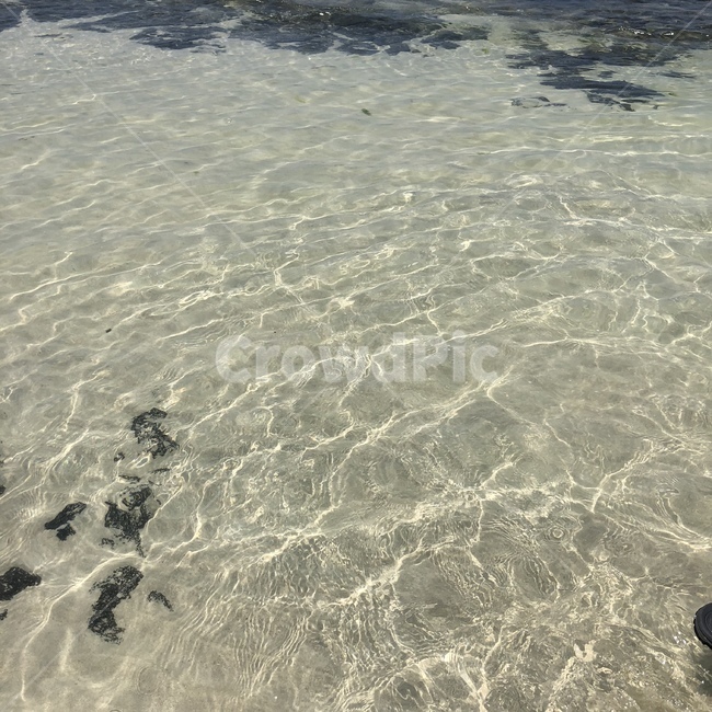 물,water,ocean,sea,바다