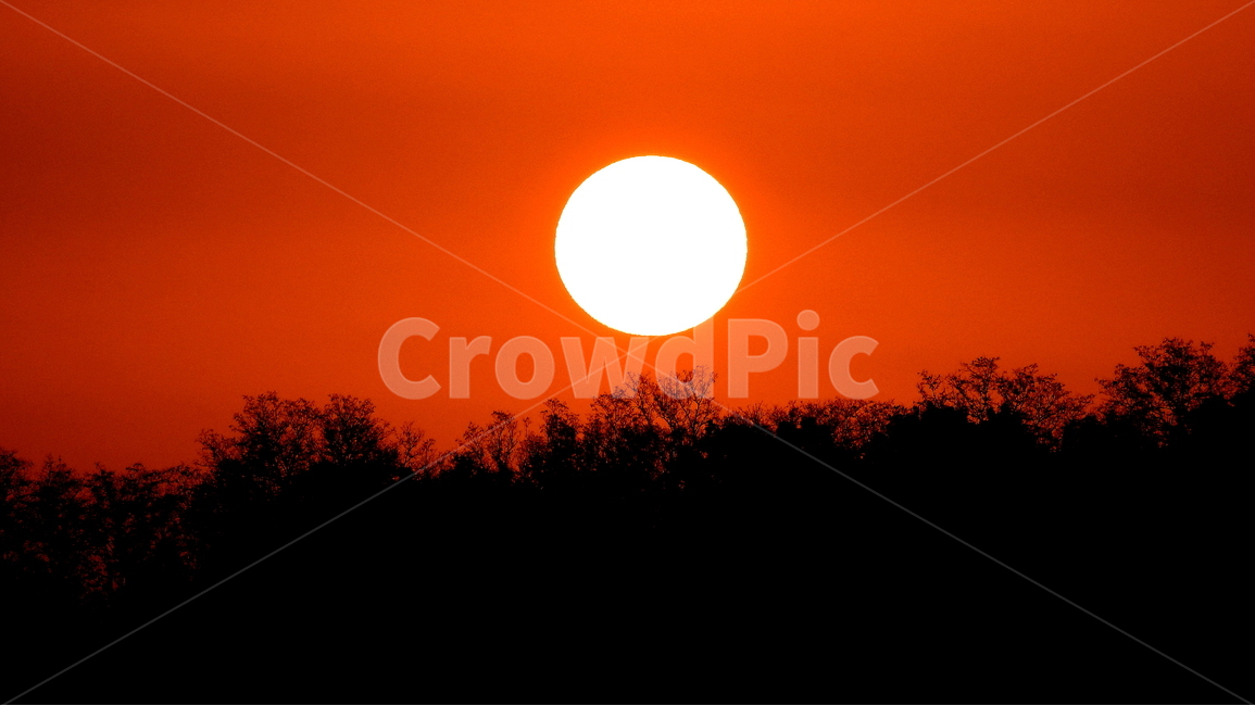 일출,풍경,태양,나무,하늘,자연,풍경,nature,landscape,outdoors,옥외,sky,dusk,황혼,dawn,새벽,red sky,붉은 하늘,sunset,일몰