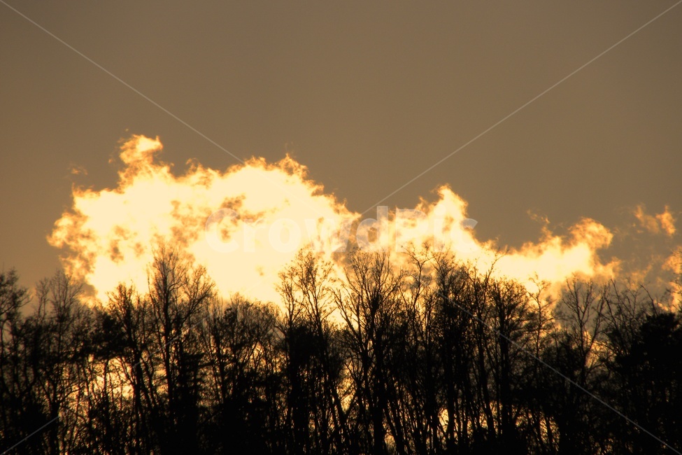 화염,구름,나무,일몰,착시,자연,풍경,nature,landscape,flare,플레어,light,빛