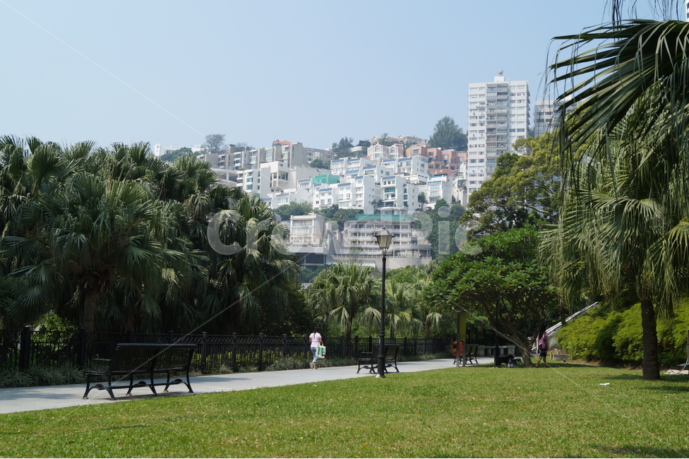 홍콩,리펄스베이,홍콩리펄스베이,산책,한가로움,산책로,풍경,자연,풍경,nature,landscape,도시,city,해외,외국,세계,foreign,oversea,world,세계자연풍경,해외자연풍경,외국자연풍경,world nature landscape,세계도시풍경,해외도시풍경,외국도시풍경,world cityscape,사람,인물,인간,human,person,휴식,힐링,rest,relaxation,healing,furniture,가구,bench,벤치