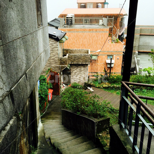대만,계단,고양이,흐림,풍경,골목길,alley,해외,외국,세계,foreign,oversea,world,banister,난간,handrail,railing