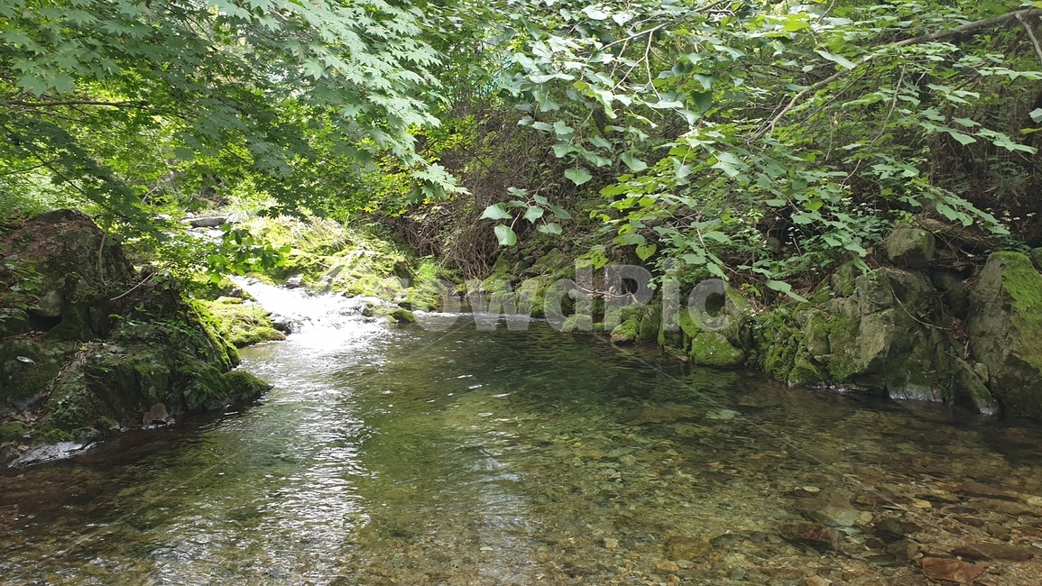 계곡,자연,물,nature,outdoors,힐링