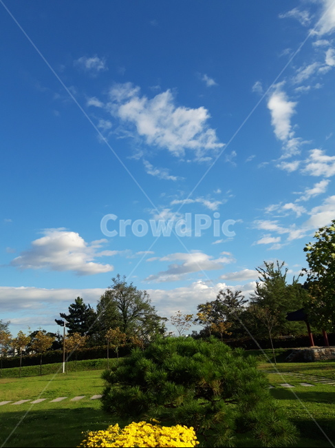 grass,잔디,plant,식물,outdoors,옥외,nature,자연,풍경,나무,ㄱㆍ름,하늘,배경,자연,풍경,nature,landscape