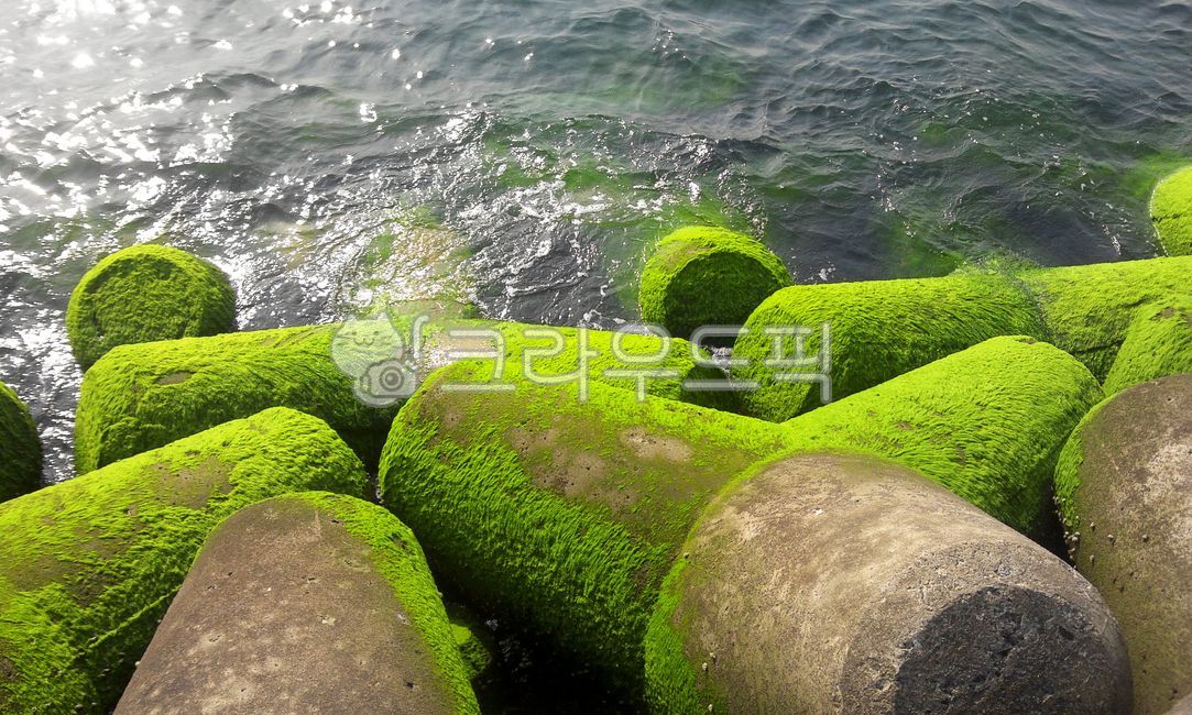 방파제,바다,해양시설,바다이끼,파도,테트라포드,tetrapod,콘크리트