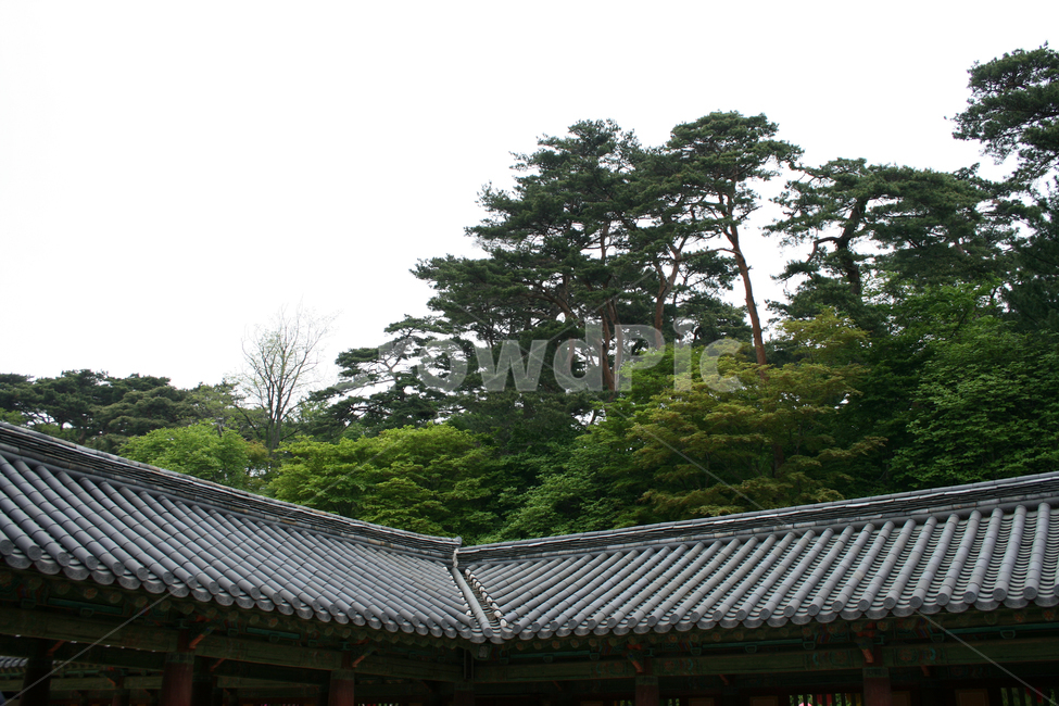 한국,경주,기와,지붕,기와지붕,한국전통,한국문화,korean traditional,korean culture,건축물,건물외관,exterior,building,structure,architecture,construction