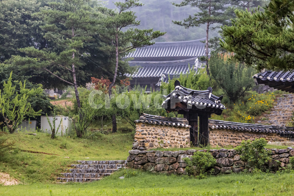 군자마을,기와담장,전통담장,기와,한옥,고택,문화유산,전통건축,관광명소,한옥마을