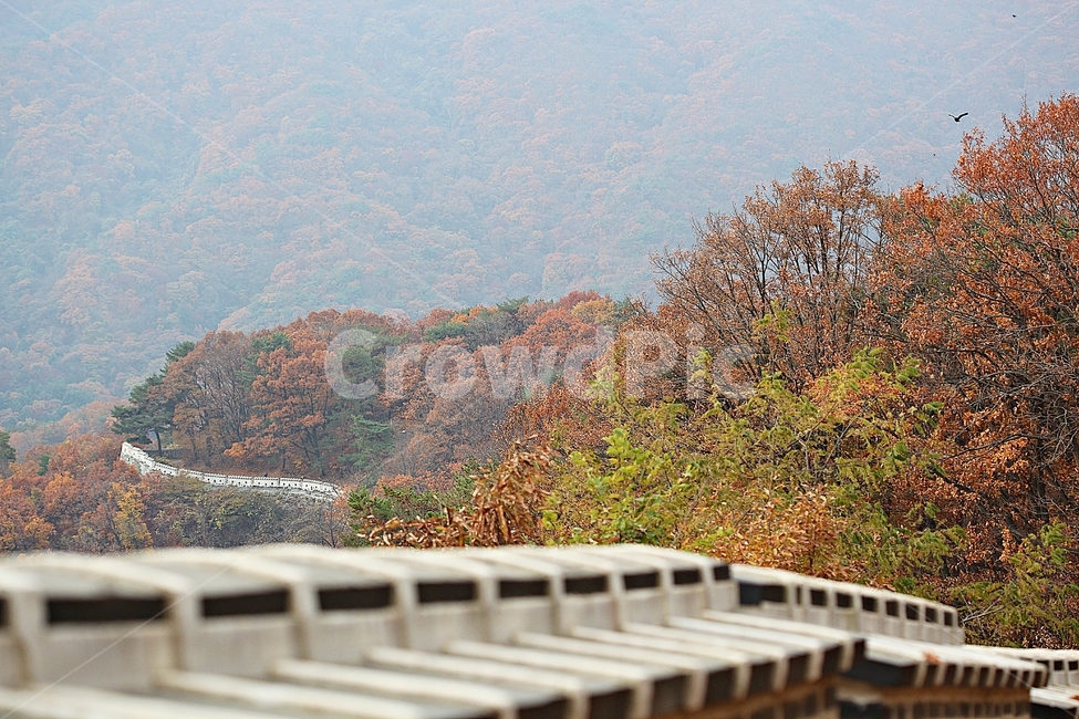 남한산성,성곽,성,단풍,낙엽,길,둘레길,숲,숲길,담,돌담,가을,자연,풍경,벽,울긋불긋,산성,식물,가을,계절,fall,autumn,season,한국전통,한국문화,korean traditional,korean culture,nature,outdoors,옥외