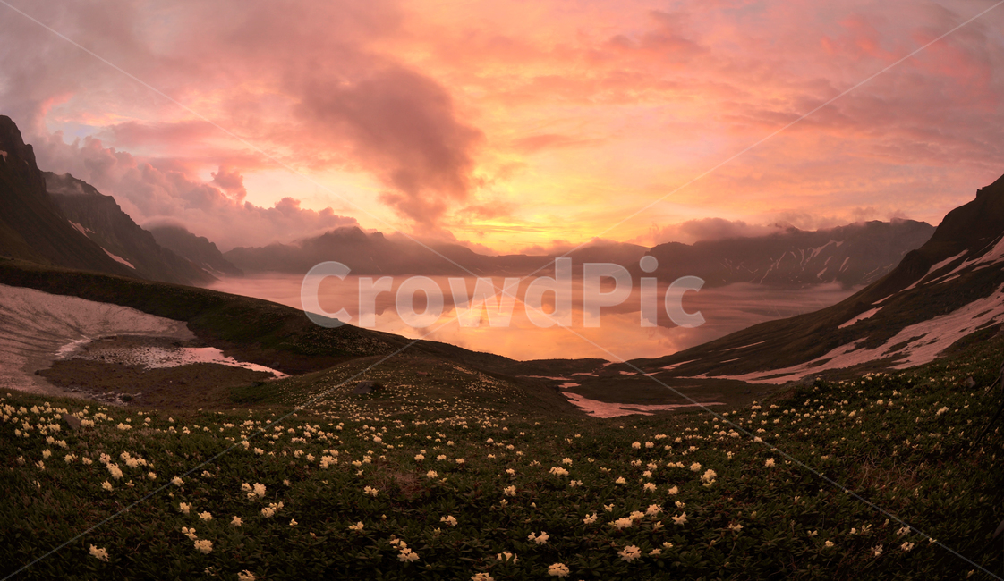 outdoors,옥외,landscape,nature,자연,scenery,백두산,천지,백록담,백두산여명,아침,일출,야생화,백두산야생화,만개,꽃,경치,경관,풍경,비경,자연,풍경,nature,landscape