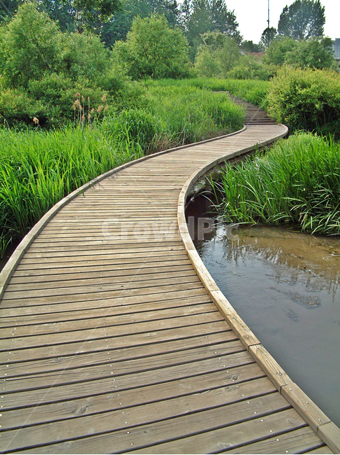 탐방로,나무데크,양재천,습지공원,습지,수풀,자연,자연,풍경,nature,landscape,boardwalk,산책로,bridge,다리,building,건물