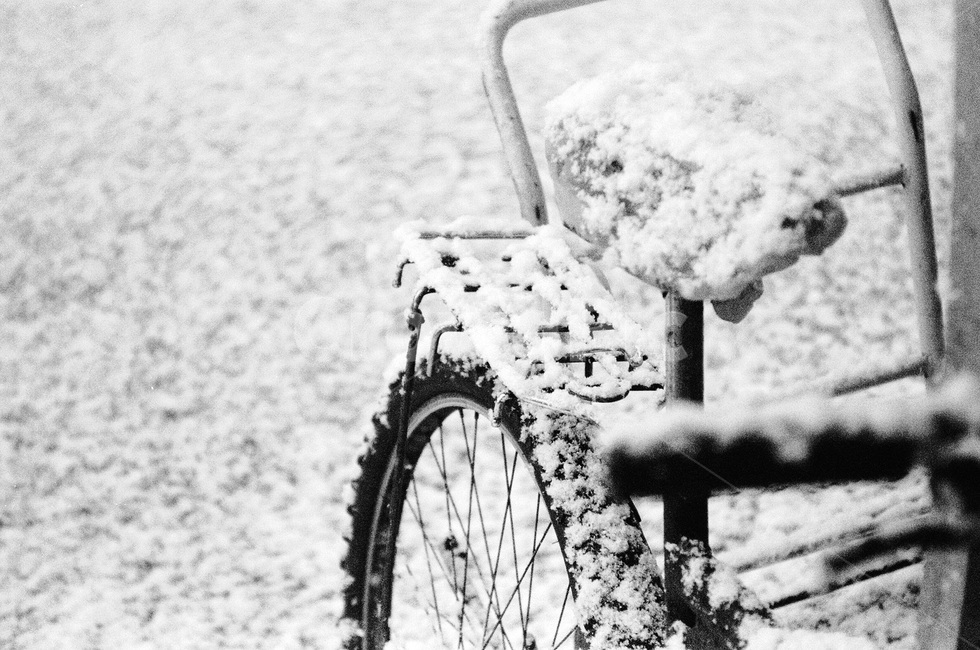 눈오는날,눈오는풍경,겨울풍경,겨울,눈,화이트,snow,white,겨울,계절,winter,season,자연,풍경,nature,landscape