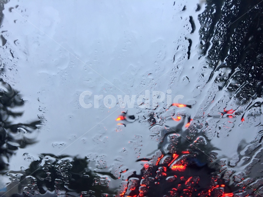 droplet,작은물방울,비,비오는날,창밖
