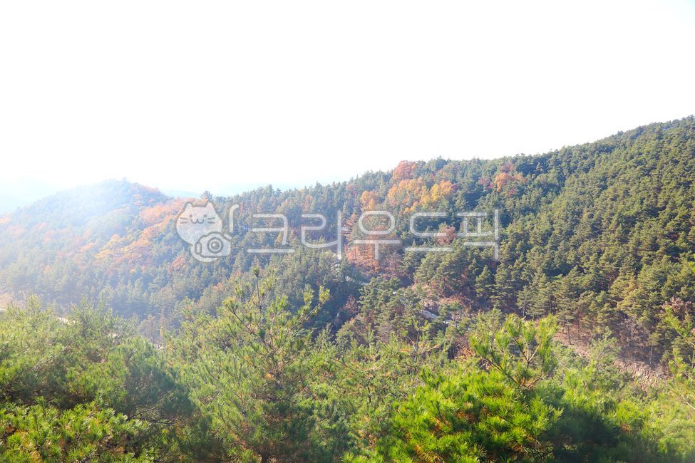 산, 능선, 숲, 나무, 단풍, 사진,이미지,일러스트,캘리그라피 - vvind작가