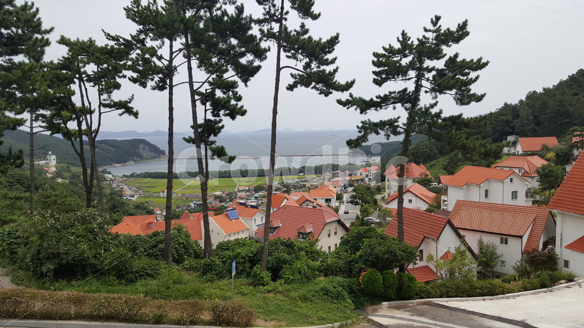 마을,주택,독일마을,바닷가,소나무,지붕,주황색,주황지붕,예쁜집,동화속,동화속마을,동화,시골,마을,풍경,landscape,country,rural,town
