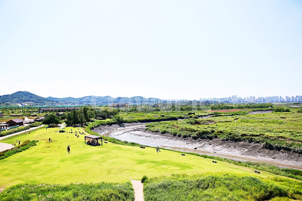 시흥갯골생태공원,공원,식물,자연,풍경,갈대,잡초,여름,게절,자연,풍경,nature,landscape,outdoors,옥외,field,들,grassland,목초지