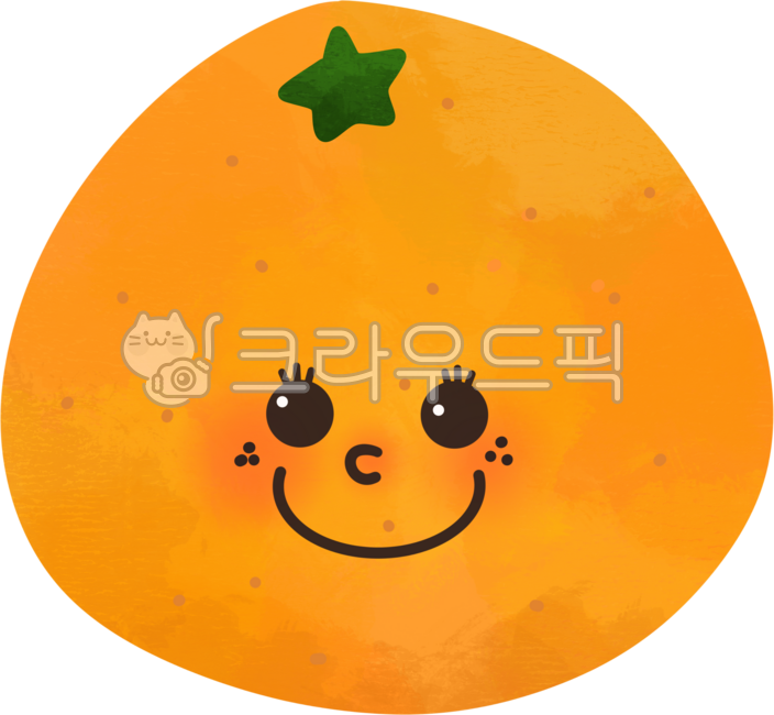 과일,열매,귤,만다린,금귤,오렌지