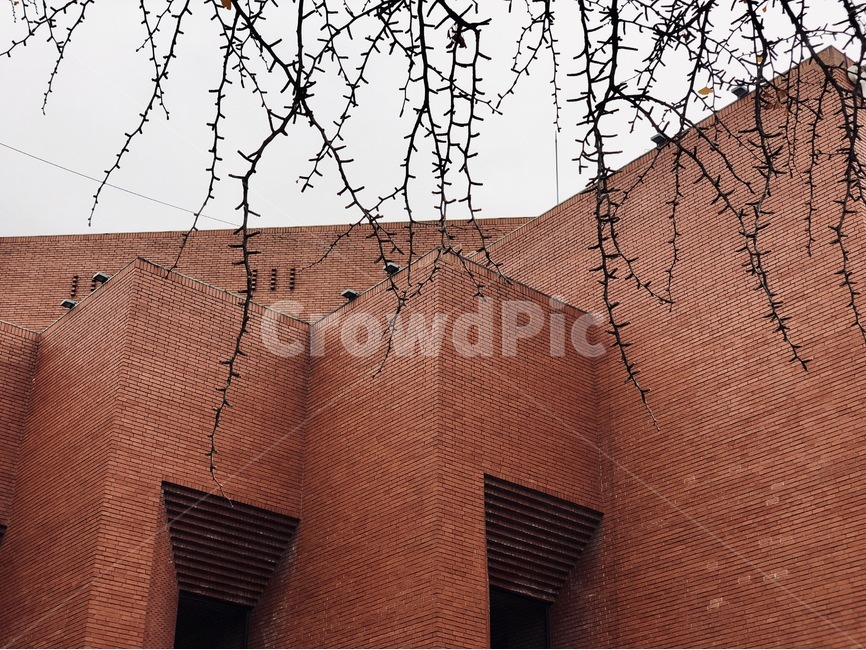 나무,벽,벽돌,혜화,건물,건축물,건물외관,exterior,building,structure,architecture,construction