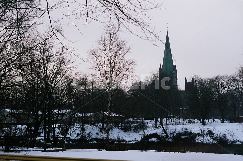 architecture,tower,탑,첨탑,building,건물,겨울,나무,snow