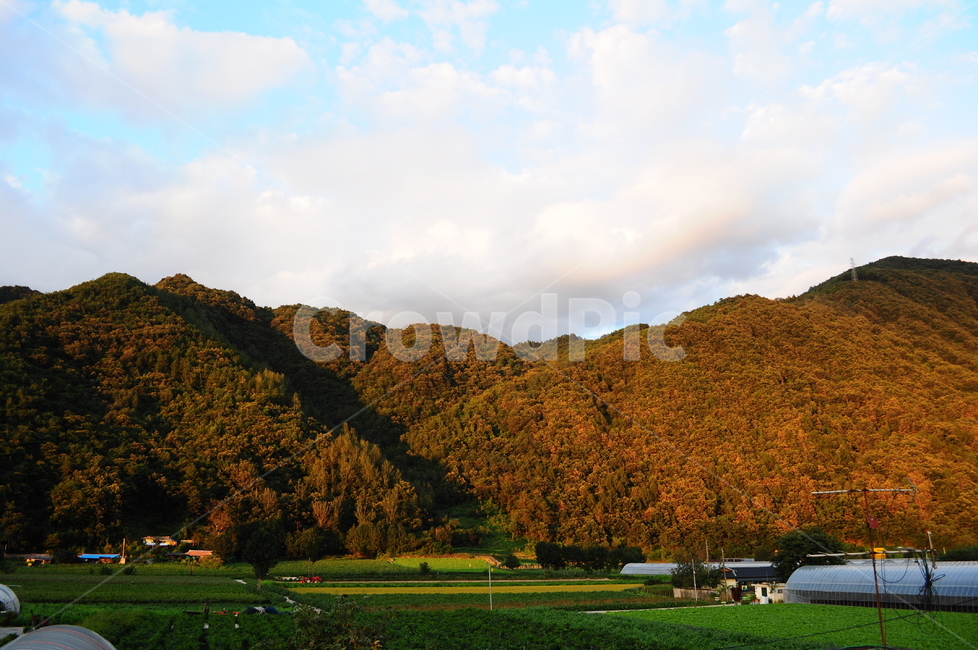 자연,하늘,시골,시골풍경,밭,비닐하우스,노을,구름,가을,계절,fall,autumn,season,자연,풍경,nature,landscape,시골,마을,country,rural,town,outdoors,옥외