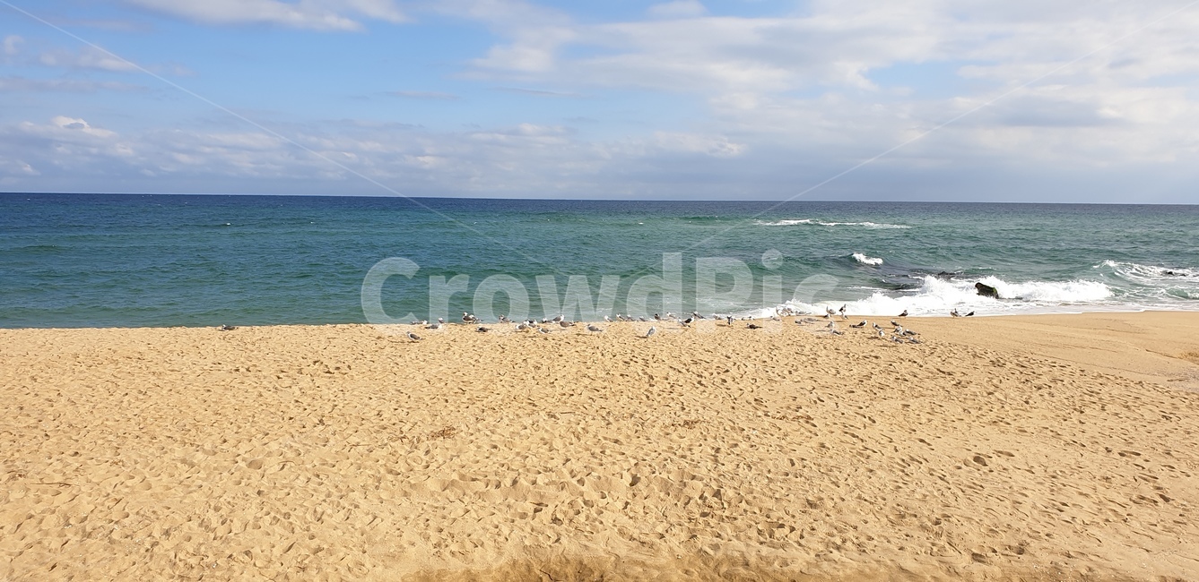해변,바닷가,경주,경포대,파도,하늘,해수욕장,자연,풍경,nature,landscape,해변,바다,beach,sea,outdoors,옥외,ocean,대양,water,물,shoreline,해안선,coast,연안,sand,모래