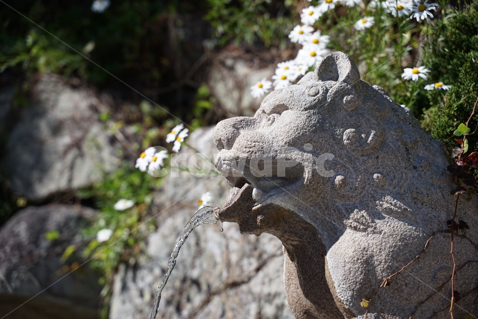 석상,불교,물,풍경,약수,사자,돌,돌상,조각상,동상,석상,조형물,statue,bronze statue,stone statue,종교,신앙,religion,belief,faith