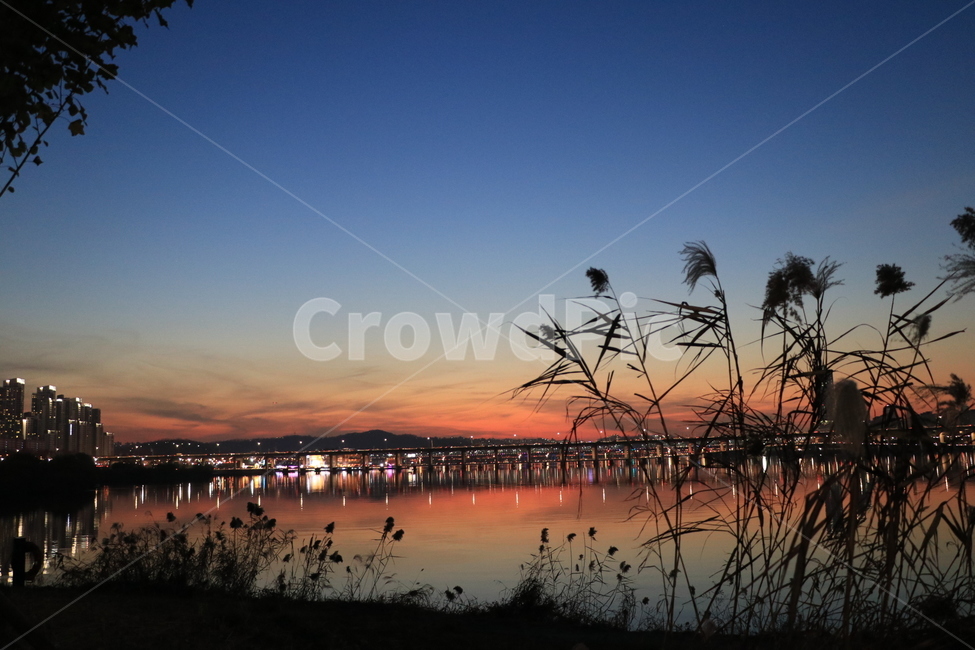 반영,한강,노을,비행운,야경,야경,밤,풍경,nightscape,night,landscape,도시,city,한국도시풍경,한국도시경관,korea cityscape,water,물,bird,새,animal,동물,waterfront,워터 프론트