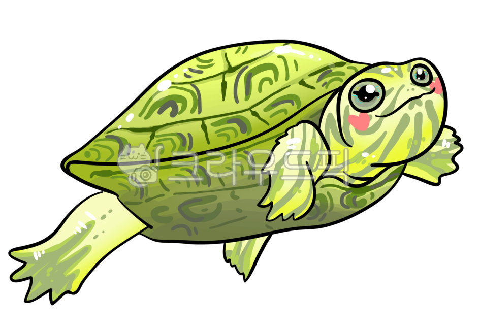거북이그림,거북이일러스트,수생동물,sealife,animal,남생이,turtle,해양생물,거북이