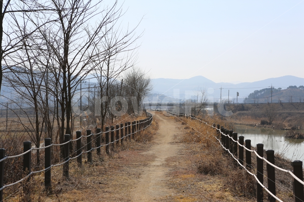 주말,한적함,걷기,화포천,시골길,봄남,트레킹,배경화면,추억,그곳,감성,사진,뚝길,뚝방길,힐링,생각,여유로움,그때,자연,풍경,nature,landscape,gravel,자갈,dirt road,흙길,road,도로