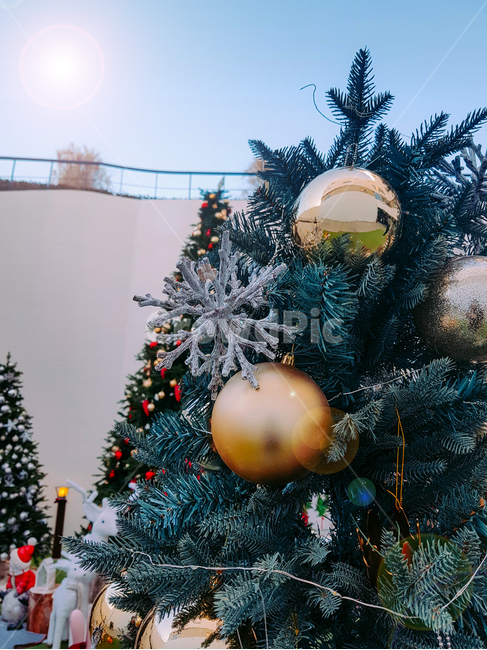 트리,크리스마스,겨울,데코,성탄절,크리스마스트리,tree,winter,메리크리스마스,성탄절,merry christmas