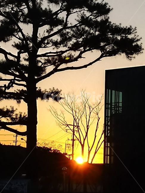 일출,해돋이,옥외,여명,자연,빛,nature,outdoors,광명