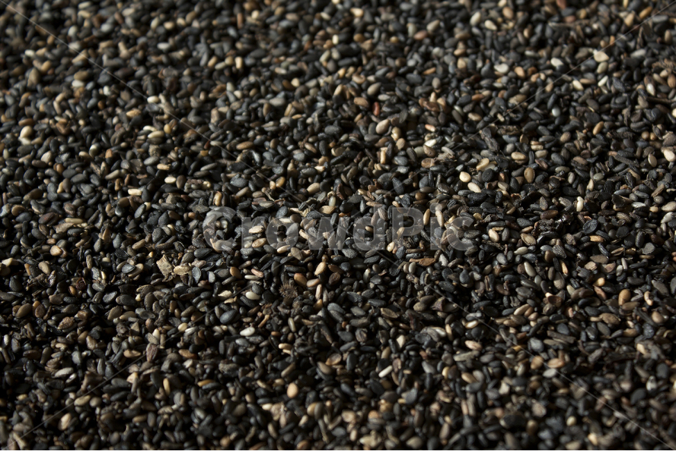 brown,closeup,dry,dummy,food,gold,grain,macro,meal,natural,nature,organic,plant,seed,seeds,sesame,sesameseed,sesameseeds,top,topangle,topview,yellow,깨,참깨,곡식,곡류,음식,음식재료,식재료,식물,씨앗,씨,갈색,브라운,말린,말리는,건조,자연,클로즈업,탑앵글,탑뷰,깨소금,농작물,농촌,농사,검정,블랙,검은색,black,검은깨,아웃포커스,포커스아웃,블러,곡류,곡식,cereals